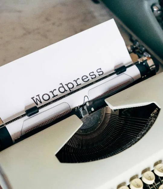 WordPress website design Austin dashboard